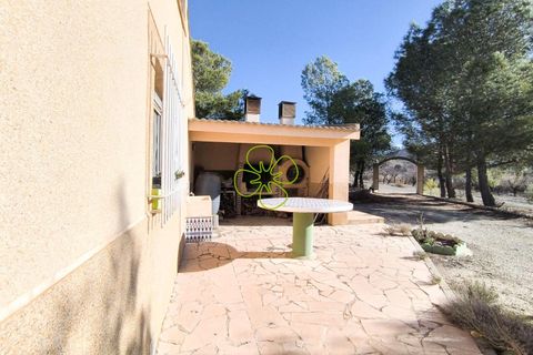 Villa i Velez-Rubio, Almeria, Velez-Rubio - € 170.000 | Ref: CRE-2645 - foto 25
