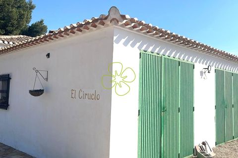 Landejendom i Chirivel, Almeria, Chirivel - € 499.000 | Ref: CRE-2632 - foto 29