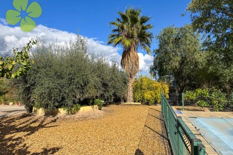 Villa i Huercal-Overa, Almeria, Huercal-Overa - € 279.950 | Ref: CRE-2622 - foto 20