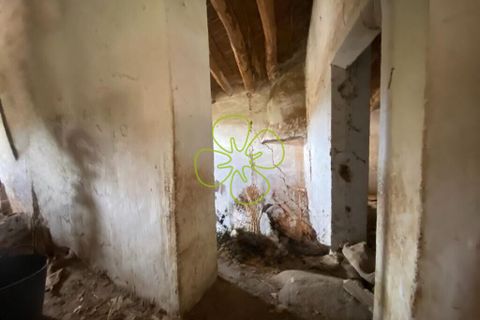 Landejendom i Cantoria, Almeria, Cantoria - € 23.000 | Ref: CRE-2602 - foto 5