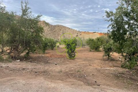 Landejendom i Cantoria, Almeria, Cantoria - € 23.000 | Ref: CRE-2602 - foto 6