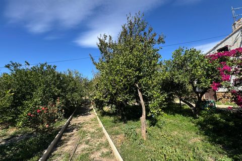 Landejendom i Cantoria, Almeria, Cantoria - € 219.990 | Ref: CRE-2597 - foto 25