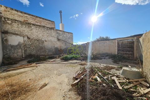Landsbyhus i Albox, Almeria, Albox - € 65.000 | Ref: CRE-2585 - foto 22