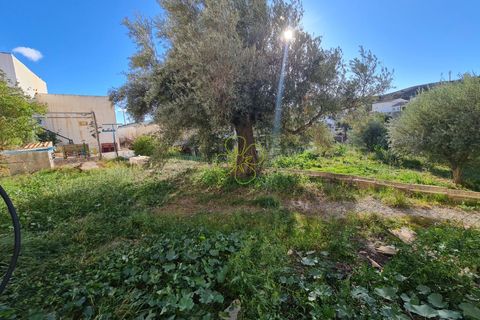 Landsbyhus i Albox, Almeria, Albox - € 65.000 | Ref: CRE-2585 - foto 24