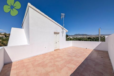 Villa a Cantoria, Almeria, Cantoria - € 156.000 | Ref: CRE-2536 - foto 16
