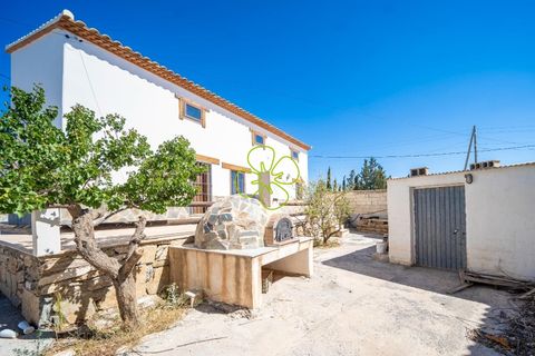 Landejendom i Cantoria, Almeria, Cantoria - € 250.000 | Ref: CRE-2497 - foto 25