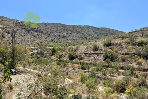Landejendom i Albanchez, Almeria, Albanchez - € 84.500 | Ref: CRE-2417 - foto 8