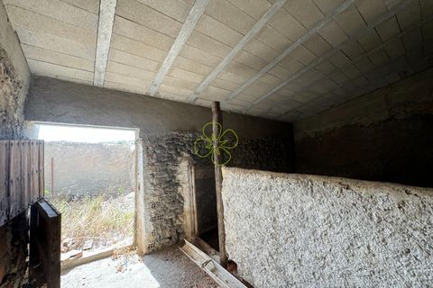 Landejendom i Albox, Almeria, Albox - € 70.000 | Ref: CRE-2387 - foto 13