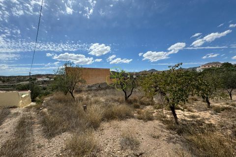 Landejendom i Albox, Almeria, Albox - € 70.000 | Ref: CRE-2387 - foto 16