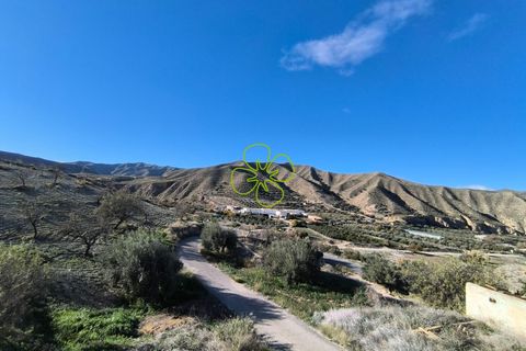 Landejendom i Arboleas, Almeria, Arboleas - € 105.000 | Ref: CRE-2343 - foto 25