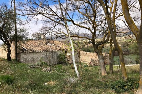 Landejendom i Chirivel, Almeria, Chirivel - € 39.000 | Ref: CRE-2283 - foto 4