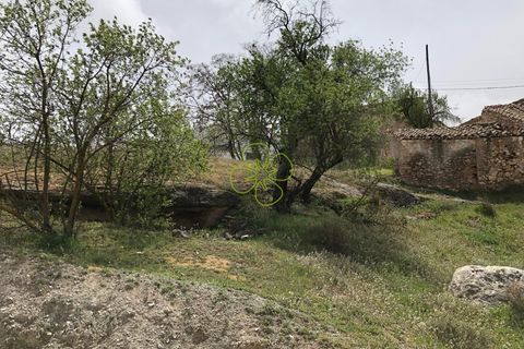 Landejendom i Chirivel, Almeria, Chirivel - € 39.000 | Ref: CRE-2283 - foto 6