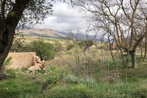 Landejendom i Chirivel, Almeria, Chirivel - € 39.000 | Ref: CRE-2283 - foto 10