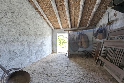 Landejendom i Oria, Almeria, Oria - € 115.000 | Ref: CRE-2174 - foto 26