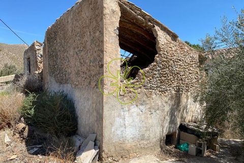 Landejendom i Cantoria, Almeria, Cantoria - € 49.995 | Ref: CRE-2143 - foto 21