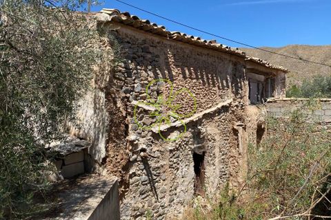 Landejendom i Cantoria, Almeria, Cantoria - € 49.995 | Ref: CRE-2143 - foto 22