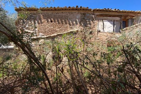 Landejendom i Cantoria, Almeria, Cantoria - € 49.995 | Ref: CRE-2143 - foto 24