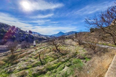Casa rural em Oria, Almeria, Oria - € 150.000 | Ref: CRE-2063 - foto 27