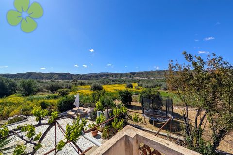 Landejendom i Arboleas, Almeria, Arboleas - € 199.950 | Ref: CRE-1550 - foto 21