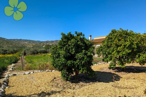 Landejendom i Arboleas, Almeria, Arboleas - € 199.950 | Ref: CRE-1550 - foto 24
