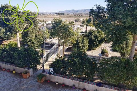 Landejendom i Lorca, Murcia, Lorca - € 315.000 | Ref: CRE-1162 - foto 16