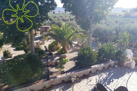 Landejendom i Lorca, Murcia, Lorca - € 315.000 | Ref: CRE-1162 - foto 17
