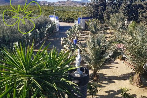 Landejendom i Lorca, Murcia, Lorca - € 315.000 | Ref: CRE-1162 - foto 19