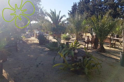 Landejendom i Lorca, Murcia, Lorca - € 315.000 | Ref: CRE-1162 - foto 27
