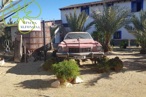 Landejendom i Lorca, Murcia, Lorca - € 315.000 | Ref: CRE-1162 - foto 28