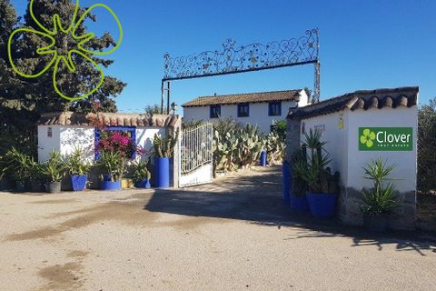 Landejendom i Lorca, Murcia, Lorca - € 315.000 | Ref: CRE-1162 - foto 30
