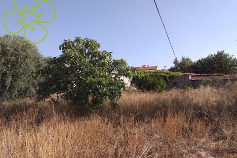 Landejendom i Arboleas, Almeria, Arboleas - € 75.000 | Ref: CRE-973 - foto 23