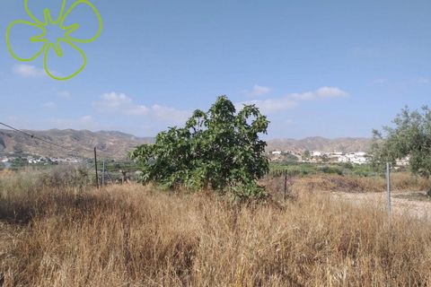 Landejendom i Arboleas, Almeria, Arboleas - € 75.000 | Ref: CRE-973 - foto 24