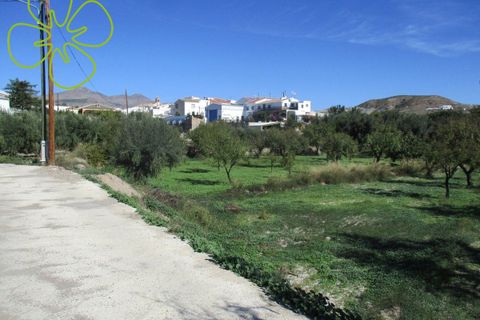 Landejendom i Albox, Almeria, Albox - € 50.000 | Ref: CRE-607 - foto 22