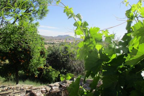 Landejendom i Arboleas, Almeria, Arboleas - € 90.000 | Ref: CRE-366 - foto 21