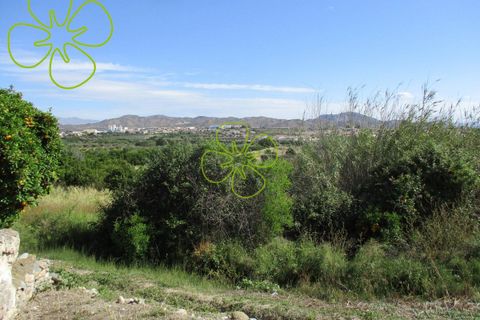 Landejendom i Arboleas, Almeria, Arboleas - € 90.000 | Ref: CRE-366 - foto 22