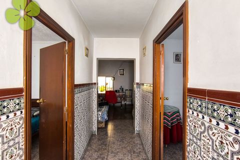 Dorpshuis in Albox, Almeria - foto 2