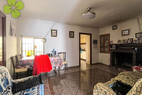 Dorfhaus in Albox, Almeria, Albox - € 52.000 | Ref: CRE-266 - Foto 6