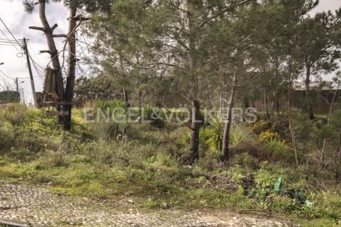 Helårsgrund i Almada, Setubal, Almada - € 215.000 | Ref: W-047S74 - foto 4