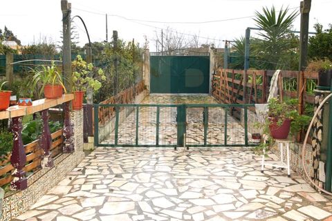 Villa i Quinta do Anjo, Setubal, Quinta do Anjo - € 515.000 | Ref: PR0060 - foto 5