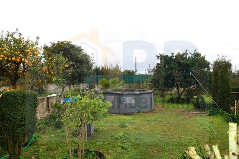 Villa i Quinta do Anjo, Setubal, Quinta do Anjo - € 515.000 | Ref: PR0060 - foto 15