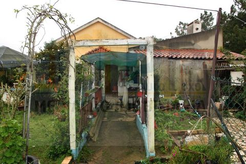 Villa i Quinta do Anjo, Setubal, Quinta do Anjo - € 515.000 | Ref: PR0060 - foto 16