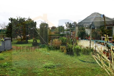 Villa i Quinta do Anjo, Setubal, Quinta do Anjo - € 515.000 | Ref: PR0060 - foto 19