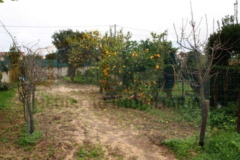 Villa i Quinta do Anjo, Setubal, Quinta do Anjo - € 515.000 | Ref: PR0060 - foto 20