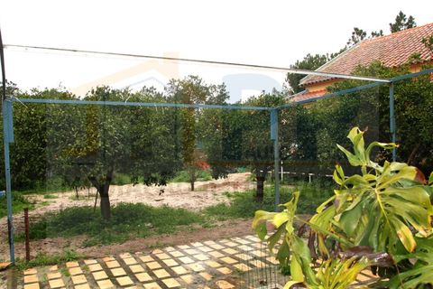 Villa i Quinta do Anjo, Setubal, Quinta do Anjo - € 515.000 | Ref: PR0060 - foto 25