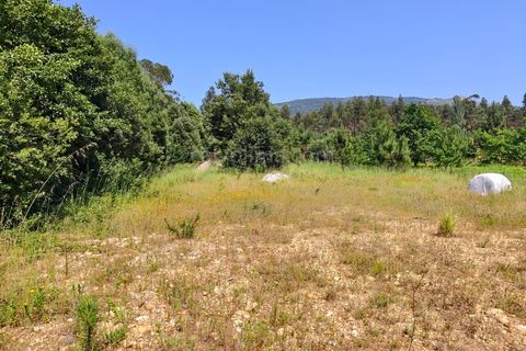 Helårsgrund i Valenca, Viana do Castelo, Valenca - € 57.000 | Ref: 4323 - foto 2