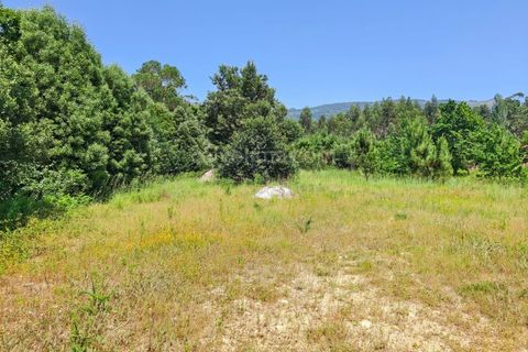 Helårsgrund i Valenca, Viana do Castelo, Valenca - € 57.000 | Ref: 4323 - foto 3