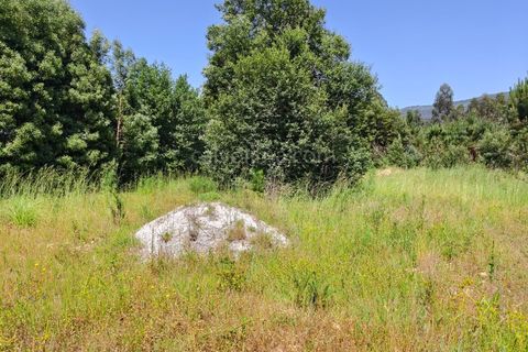 Helårsgrund i Valenca, Viana do Castelo, Valenca - € 57.000 | Ref: 4323 - foto 4