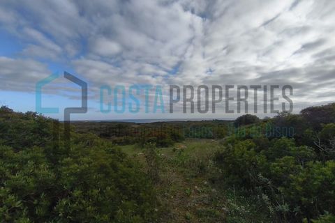 Helårsgrund i Sagres, Faro, Sagres - € 30.000 | Ref: CP-T2602 - foto 6