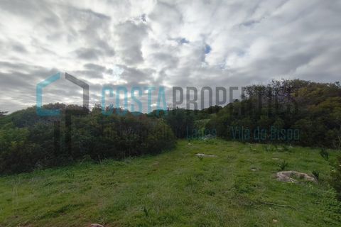 Helårsgrund i Sagres, Faro, Sagres - € 30.000 | Ref: CP-T2602 - foto 9