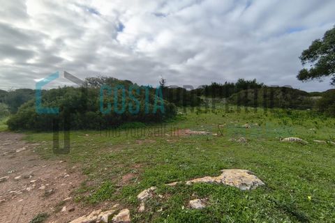 Helårsgrund i Sagres, Faro, Sagres - € 30.000 | Ref: CP-T2602 - foto 13